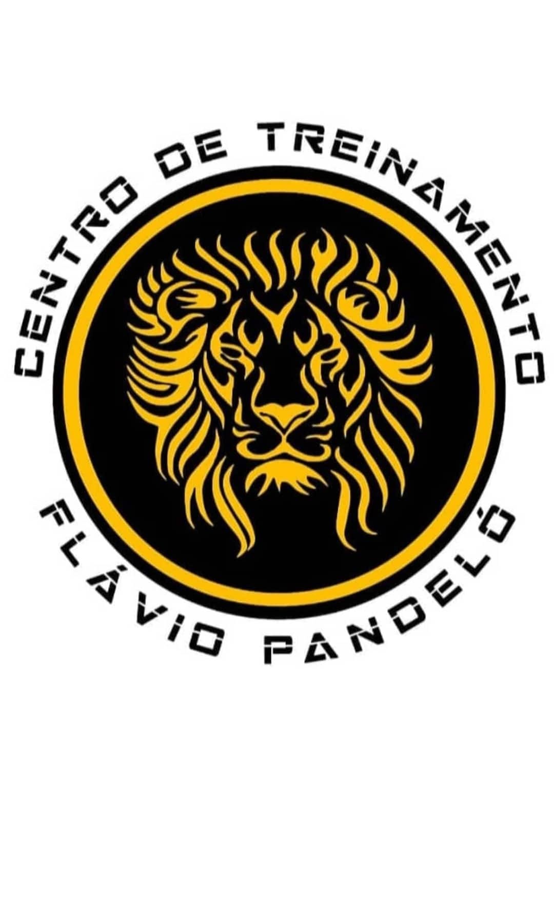 Logo do CT Flávio Pandeló